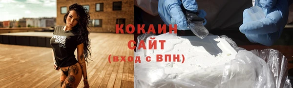 твердый Алексин
