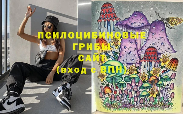 трава Алзамай