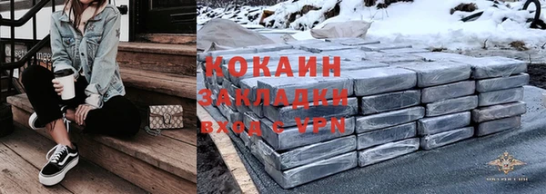 твердый Алексин