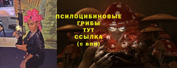 твердый Алексин