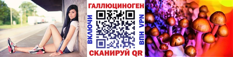 Галлюциногенные грибы мицелий  как найти закладки  Петушки 